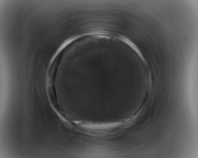X0000085221101200703301658