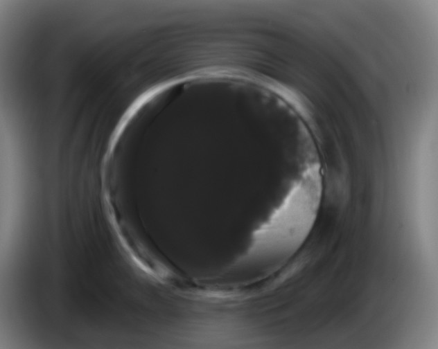 X0000085221102200703301658