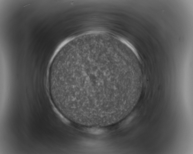 X0000085221103200703301658