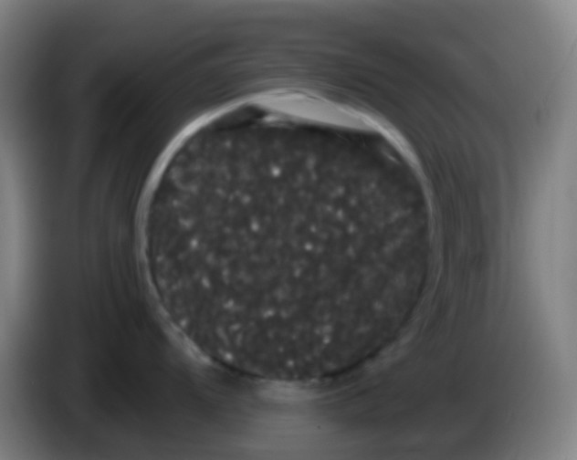 X0000085221104200703301658