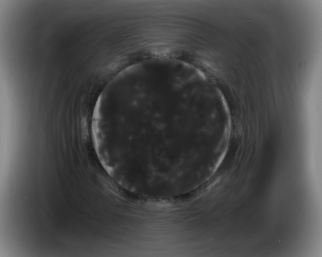 X0000085221106200703301657