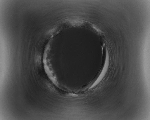 X0000085221108200703301657