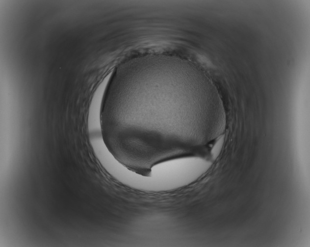 X0000085221109200703301657