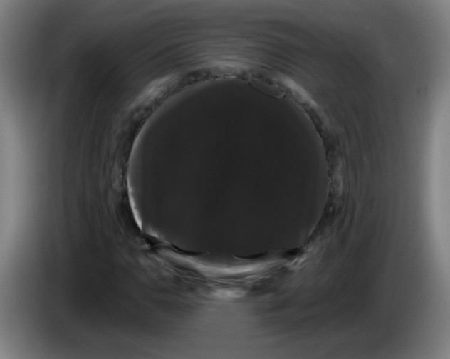 X0000085221110200703301657