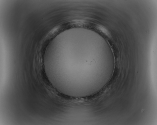 X0000085221111200703301657