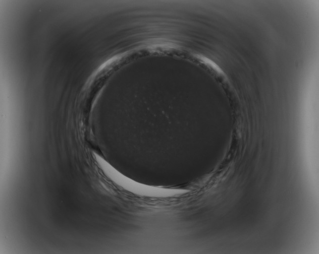X0000085221112200703301657