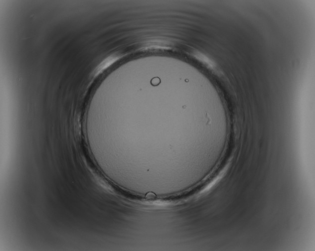 X0000085221113200703301657