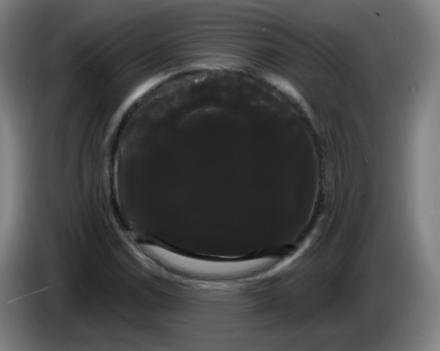 X0000085221114200703301657