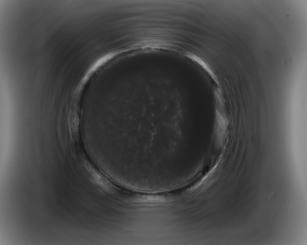 X0000085221115200703301657