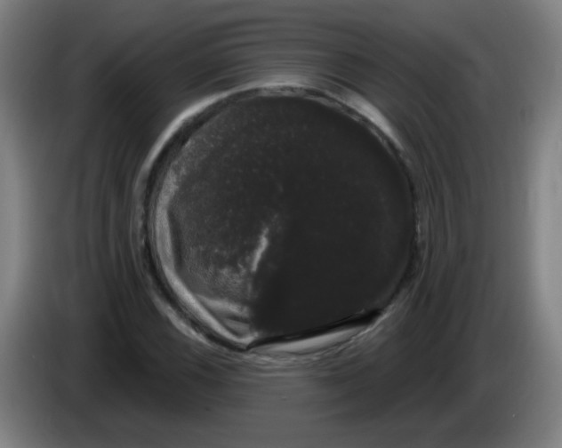 X0000085221116200703301657