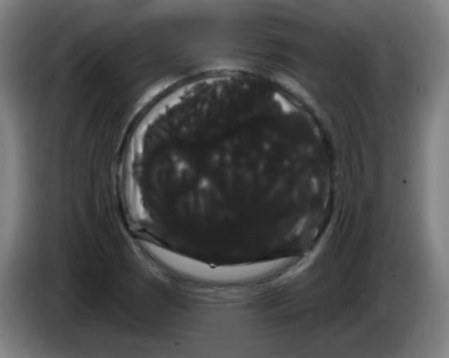 X0000085221121200703301657