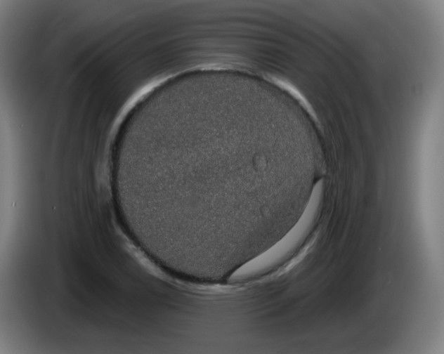 X0000085221122200703301657