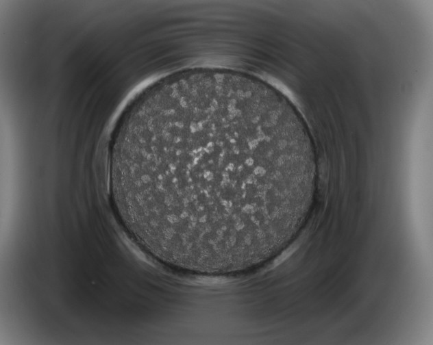 X0000085221123200703301657