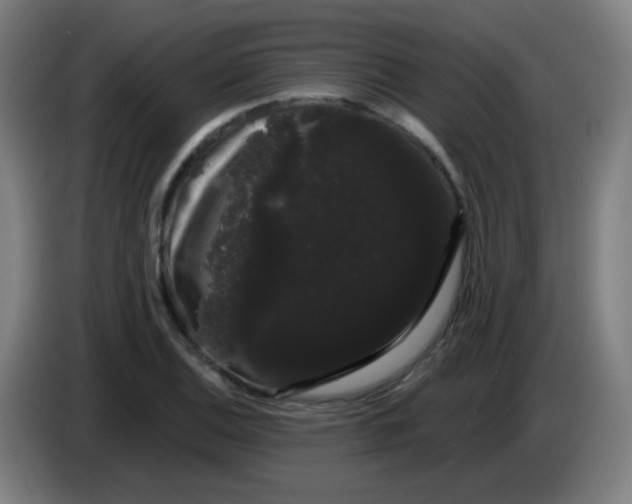 X0000085221124200703301657
