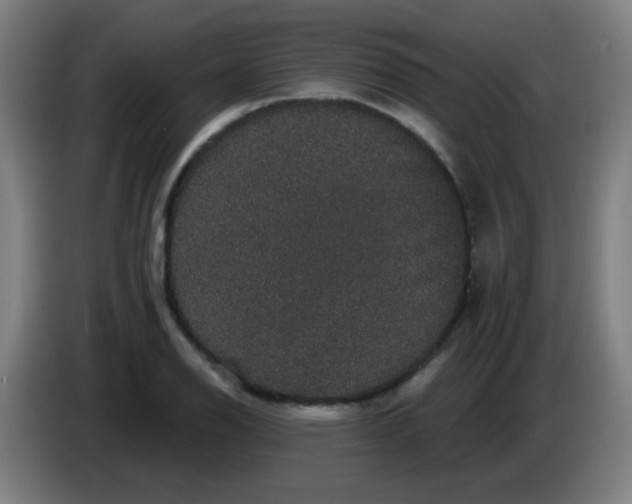 X0000085221126200703301657
