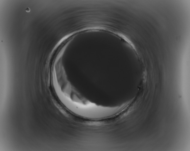 X0000085221127200703301657