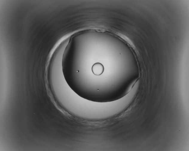 X0000085221128200703301657