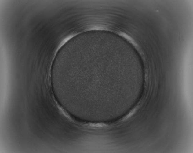 X0000085221129200703301657