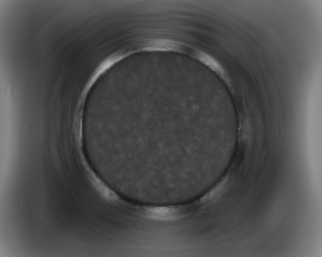 X0000085221130200703301657