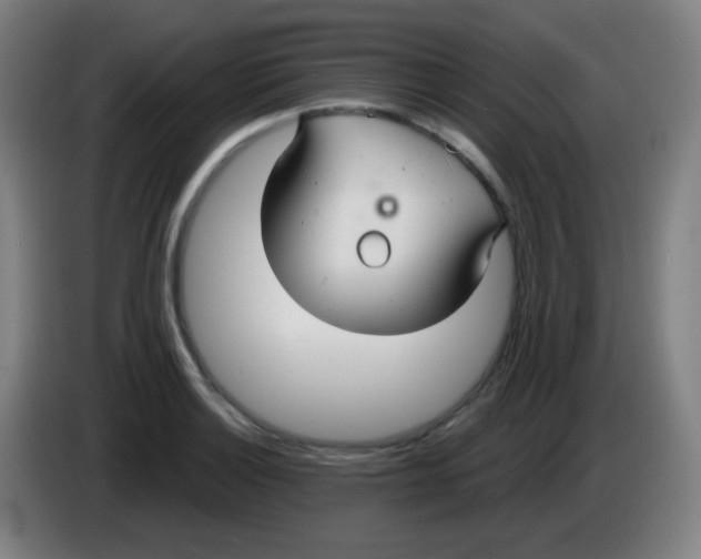 X0000085221132200703301657
