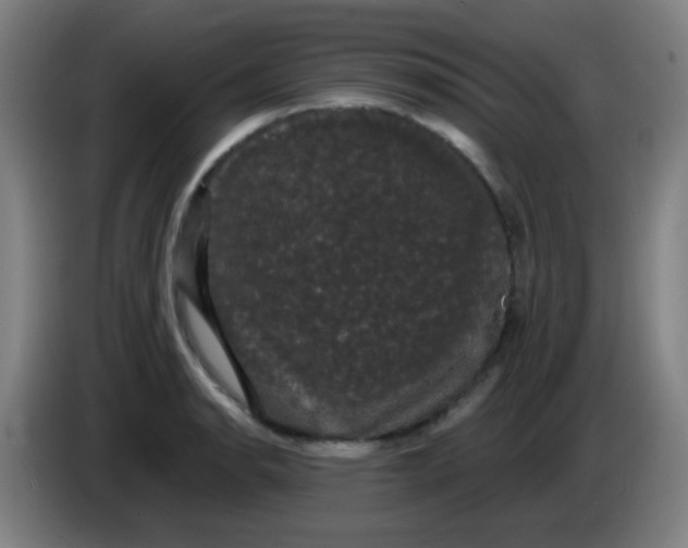 X0000085221134200703301657
