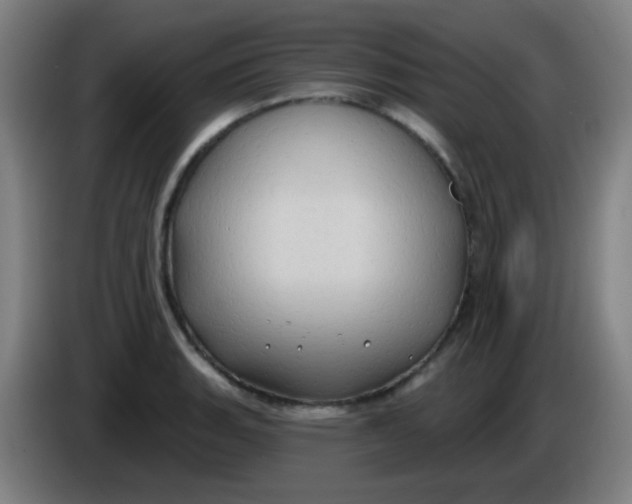 X0000085221135200703301657