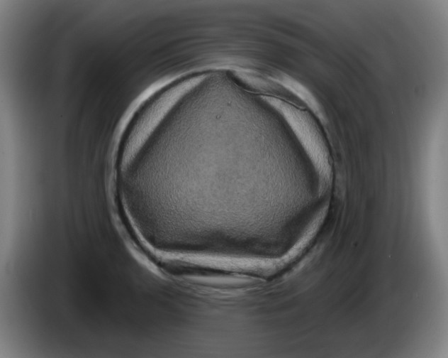 X0000085221136200703301657