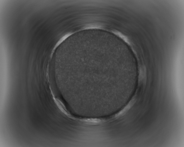 X0000085221137200703301658