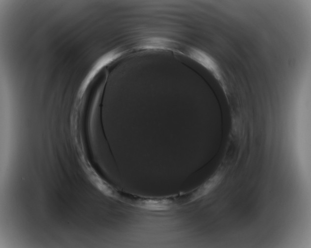 X0000085221138200703301658