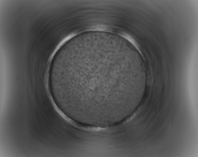 X0000085221139200703301658