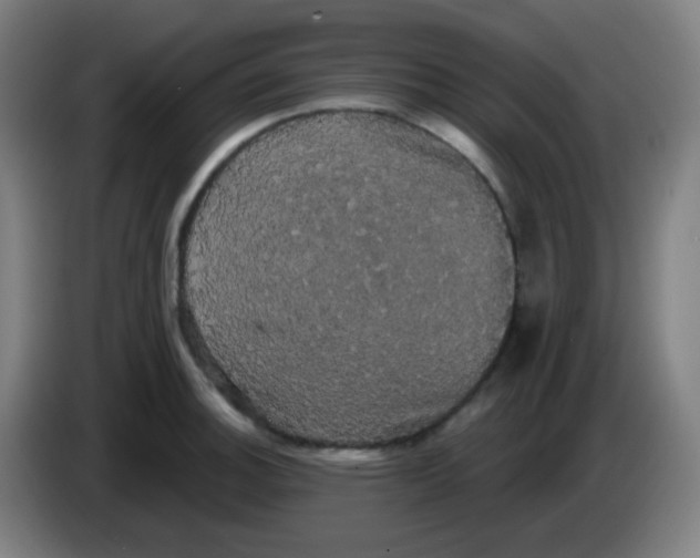 X0000085221140200703301658