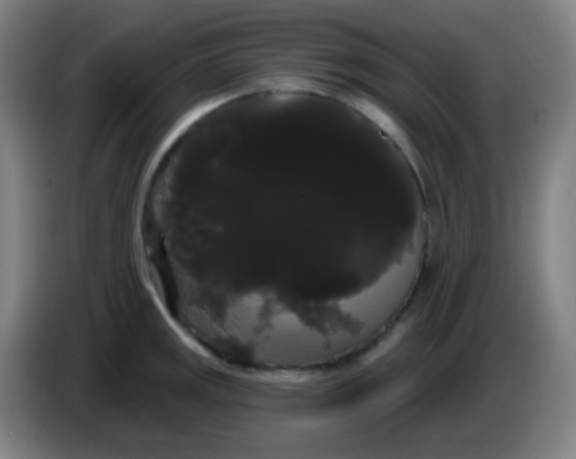 X0000085221141200703301658