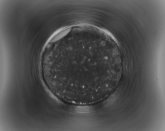 X0000085221142200703301658