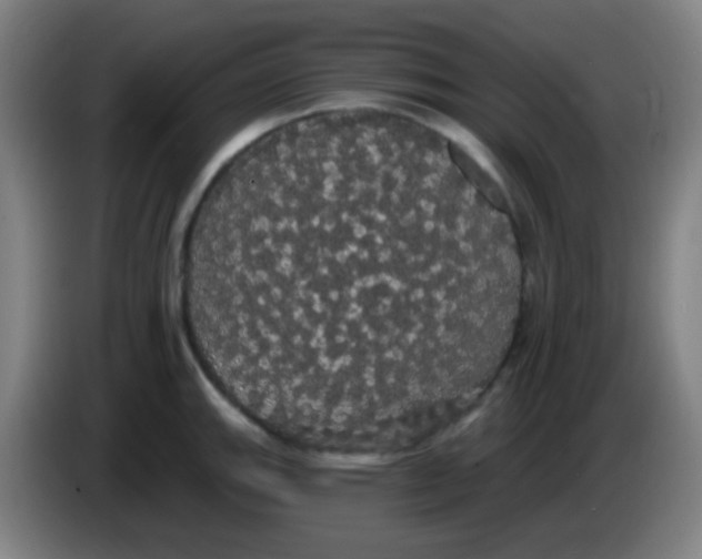 X0000085221143200703301658