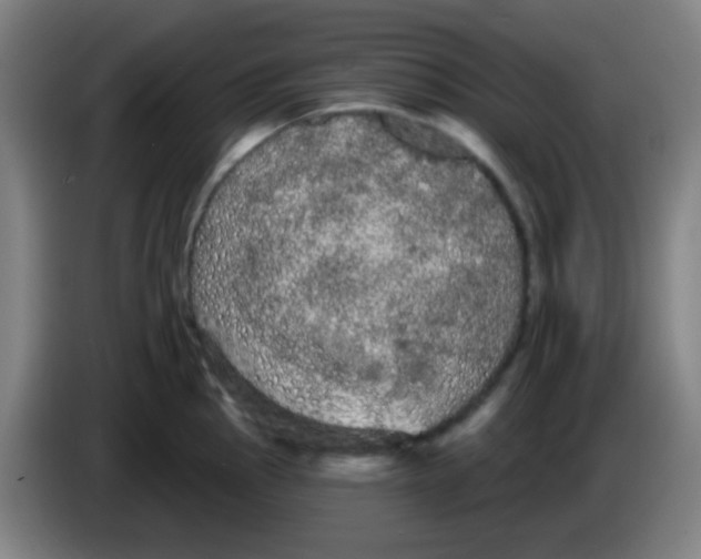 X0000085221145200703301658