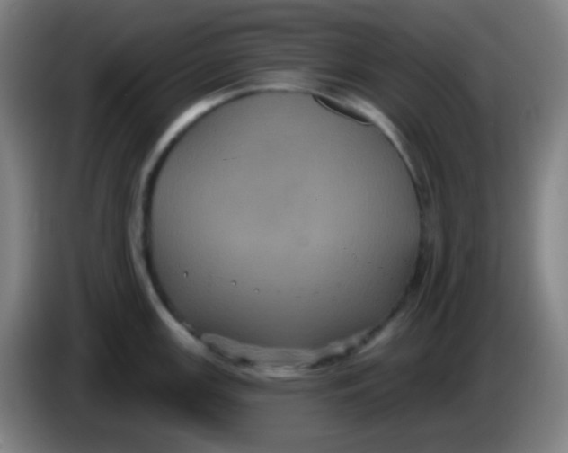 X0000085221147200703301658