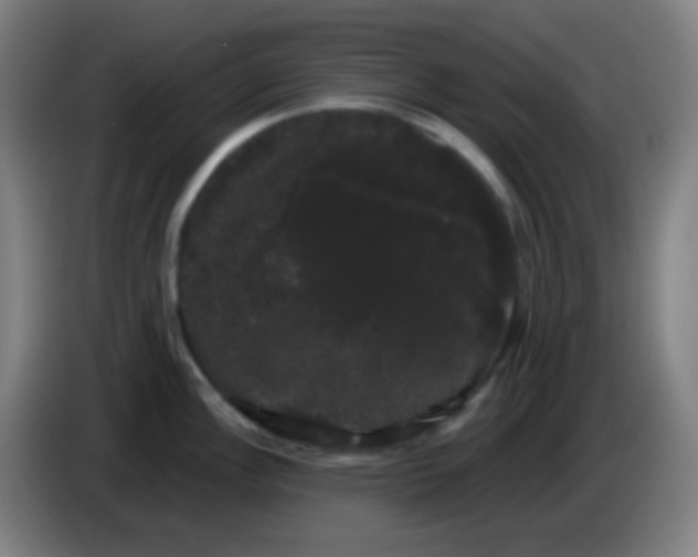 X0000085221148200703301658