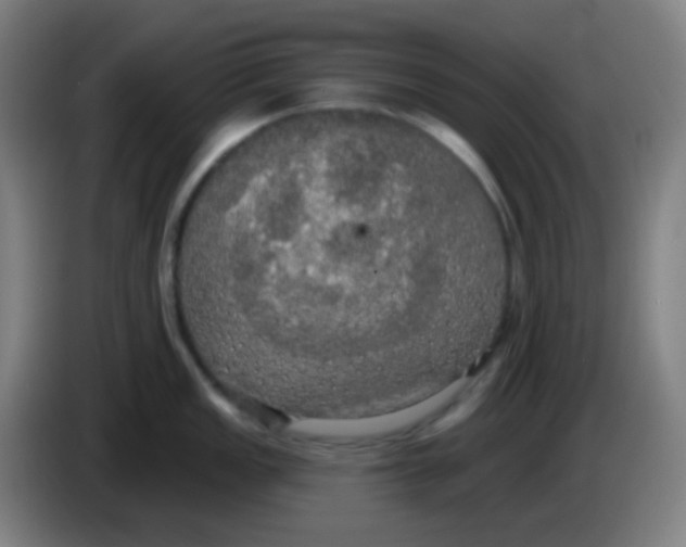 X0000085221149200703301658