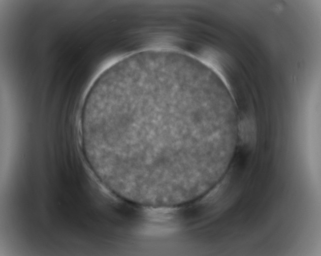 X0000085221150200703301658
