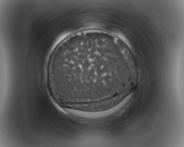 X0000085221151200703301658