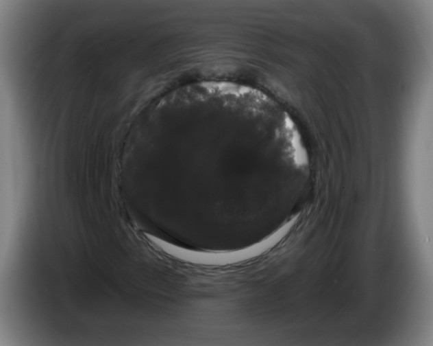 X0000085221153200703301657