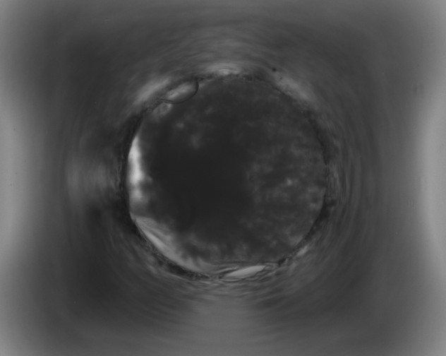 X0000085221158200703301657