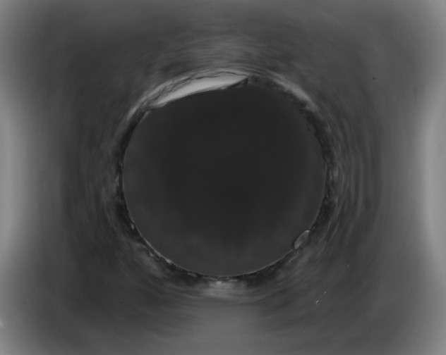 X0000085221160200703301657