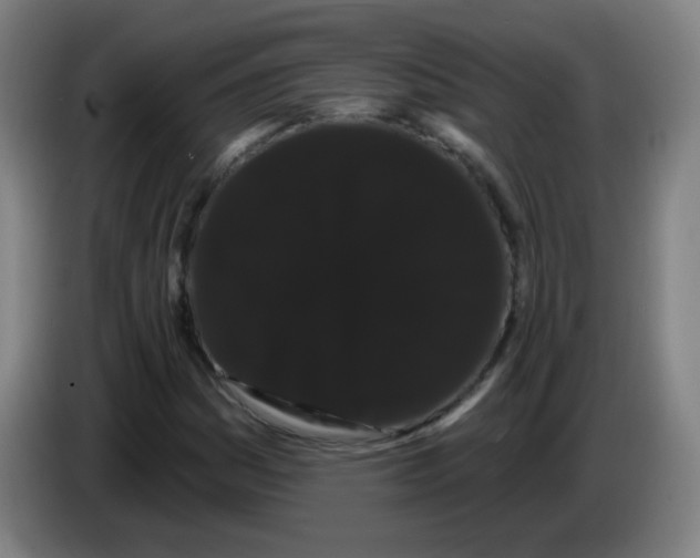 X0000085221161200703301657