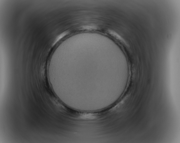 X0000085221162200703301657