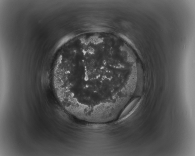 X0000085221163200703301657