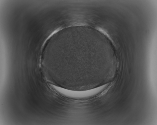X0000085221165200703301657