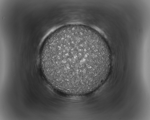 X0000085221167200703301657
