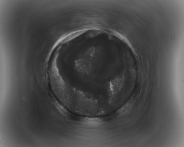 X0000085221168200703301657