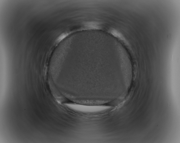 X0000085221169200703301657